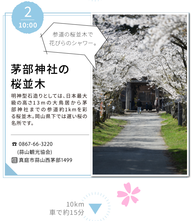 約0.45km車で約3分　茅部神社の桜並木