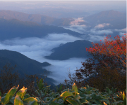 100万年がつくり上げた 真庭「自然美」のおくりもの