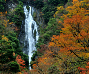 100万年がつくり上げた 真庭「自然美」のおくりもの