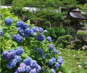 100万年がつくり上げた 真庭「四季彩」のおくりもの