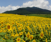 100万年がつくり上げた 真庭「四季彩」のおくりもの