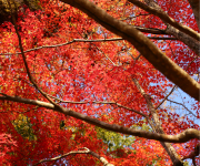 100万年がつくり上げた 真庭「四季彩」のおくりもの