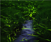 100万年がつくり上げた 真庭「水」のおくりもの