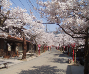 100万年がつくり上げた 真庭「形」のおくりもの