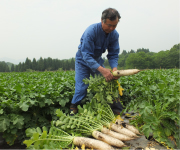 100万年がつくり上げた 真庭「食」のおくりもの