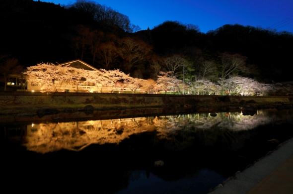 09.湯原の桜めぐり