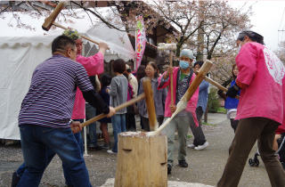 がいせん桜まつり