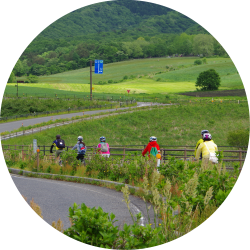 ひるぜん高原サイクリング 雄大な景観と牧歌的風景の調和する人気のコース