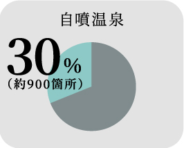 自噴温泉 30%(約900箇所)