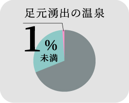 足元湧出の温泉 1%未満
