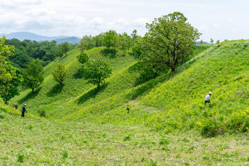 蒜山 初夏の草原ワークアウト2026 草刈りで絶滅危惧種の命をつなごう！