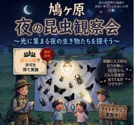 鳩ヶ原 夜の昆虫観察会