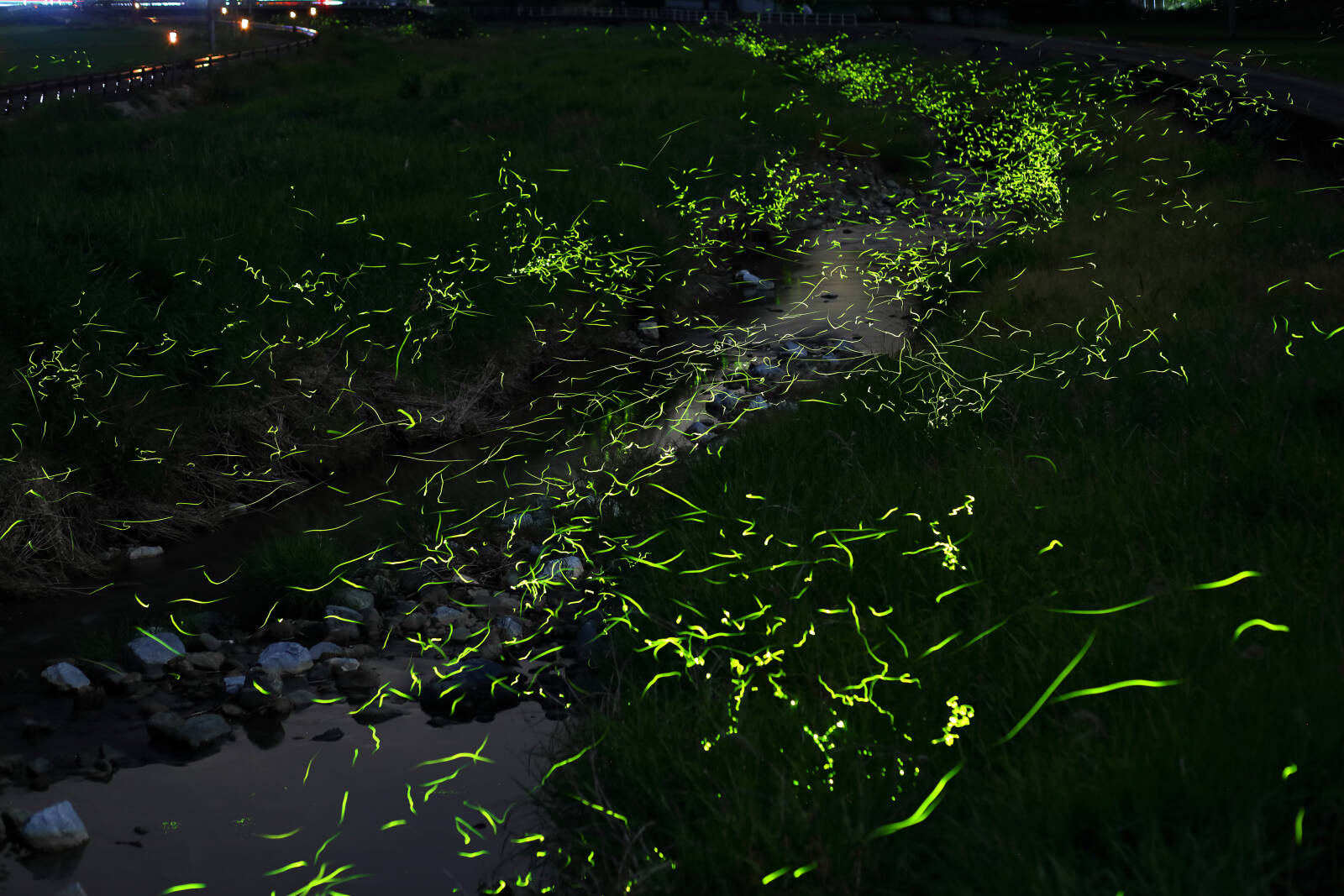 北房ほたるの里