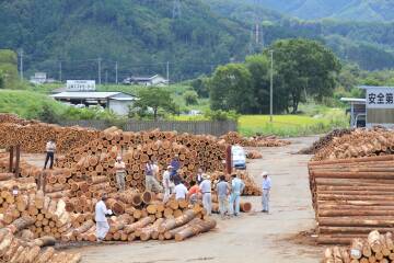 バイオマスの源　真庭の林業と木材業本流コース