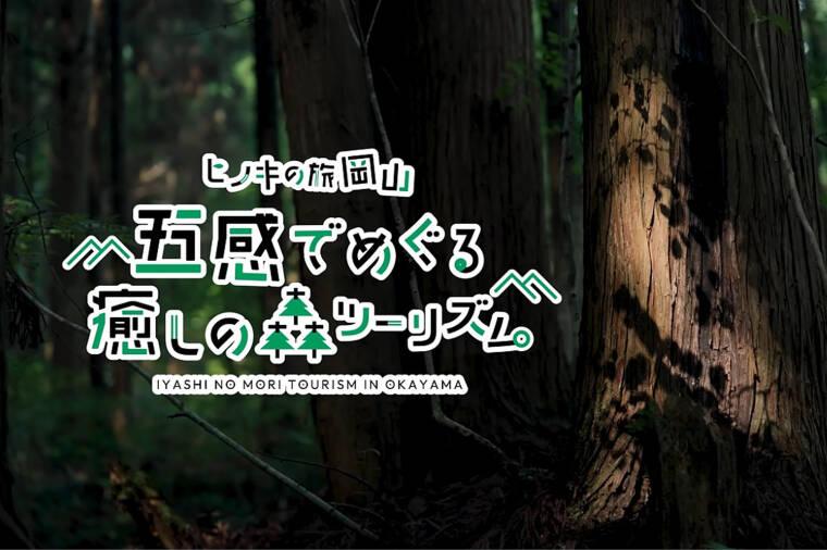 【新庄村】ヒノキの旅岡山～五感でめぐる癒しの森ツーリズム～
