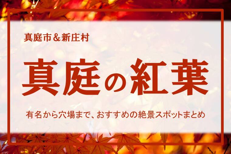 真庭の紅葉情報2025（ライブカメラ）