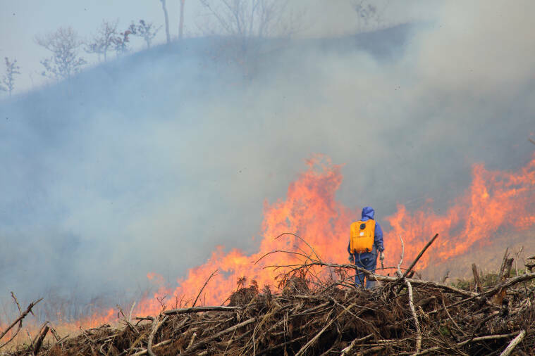 蒜山の草原を守ろう！山焼きボランティア募集【2026年4月4日（土）・5日（日）・11日（土）】