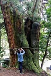 真庭産ヒノキで作ろう！～創作家具屋に教わる子供椅子作り～