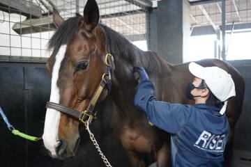 引退競走馬のバックヤード体験 ~オールドフレンズジャパンスタッフと一緒に馬のお世話~