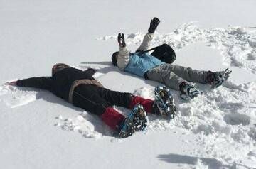 醍醐桜タクシーツアー